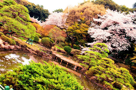 Japanese garden with many layered trees, and a lake. All in very bright colors.