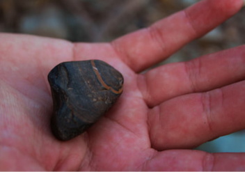A hand holding a uneven dark brown rock with a dull orange strip capping one end.