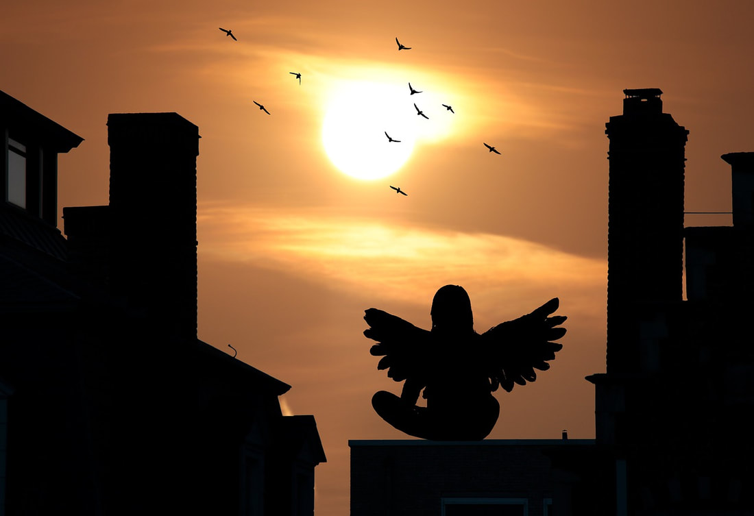 Silhouette of a long-haired figure with wings sitting on a rooftop, staring up at a flock of birds flying in front of the sun.
